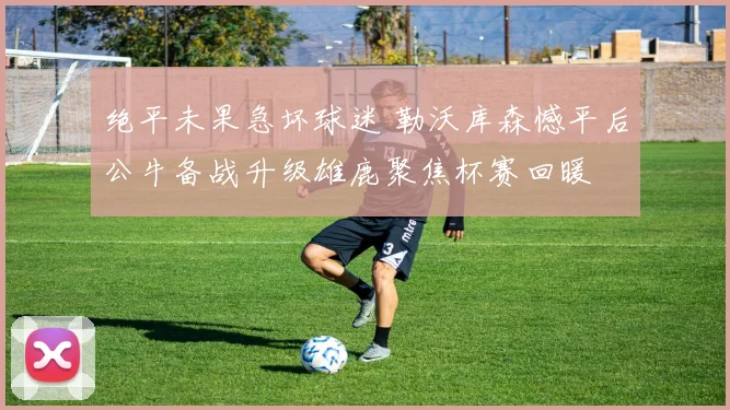 绝平未果急坏球迷 勒沃库森憾平后公牛
